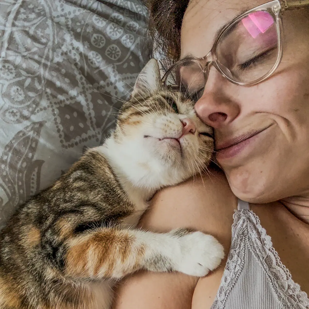 Méli, chatte tricolore, joue contre joue avec moi, les yeux fermés, une patte allongée sur mon épaule.
