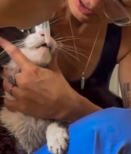 Ma main sous la mâchoire du chat pour lui ouvrir la bouche, sa patte posée sur mon genou.